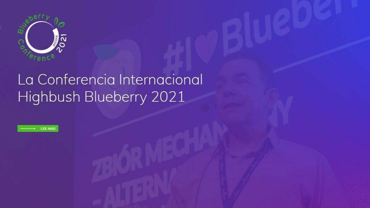 Blueberry-conf-PL (2)|Blueberry Conference